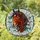 Tiffany Style Stained Glass Bay Horse Head Poppy, Intricate Mosaic, Emerald Green Stained Glass Suncatcher - 1