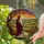 Robed Figure Lamb Gnarled Tree Autumn Foliage - Pastoral Hills Sunset Tiffany Glass Art Stained Glass Suncatcher - 2