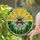Bumblebee Pollinating Daisy Flowers Stained Glass Mosaic - Tiffany Style Nature Decor Stained Glass Suncatcher - 2