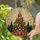 Traditional Stained Glass Christmas Tree Presents Golden Star Ornaments - Holiday Decor Stained Glass Suncatcher - 2