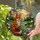 Russet Fox Tiffany Stained Glass - Full Moon Evening Landscape Greenery & Blossoms Stained Glass Suncatcher - 2