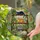 Detailed Cats Plant Shelf Succulents Vines Stained Glass Art - Tiffany Style Decor Stained Glass Suncatcher - 2