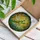 Green Praying Mantis Stained Glass Tiffany Art - Nature Inspired Foliage Sunlight Decor Stained Glass Suncatcher - 3