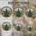 Tiffany Stained Glass Christmas Tree Winter Landscape Candelabra Festive Holiday Decor Stained Glass Suncatcher - 4