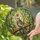 Cockatiel Stained Glass Art - Majestic Bird on Branch Green Foliage Sunny Landscape Stained Glass Suncatcher - 2