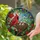 Cardinal Birds Nest Stained Glass - Tiffany Style Red Berries & Green Branches Stained Glass Suncatcher - 2