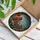 Cardinal Birds Nest Stained Glass - Tiffany Style Red Berries & Green Branches Stained Glass Suncatcher - 3