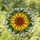 Detailed Sunflower Stained Glass Tiffany Mosaic - Intricate Floral Art Window Decor Stained Glass Suncatcher - 1