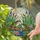 Two Green Frogs Pink Water Lilies Blue Water Stained Glass Art - Reeds Cattails Tiffany Style Stained Glass Suncatcher - 2