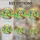 Macaws Stained Glass Tropical Landscape Tiffany Jewel Tones - Full Moon River Scene Stained Glass Suncatcher - 4