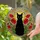 Black Cat Red Poppies Stained Glass Art - Tiffany Style Mosaic Home Decor Gift for Cat Lovers Stained Glass Suncatcher - 2