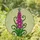 Pink Magenta Foxglove Flowers Stained Glass Mosaic Art - Tiffany Style Jewel Tone Floral Design Stained Glass Suncatcher - 1