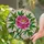 Pink Peony Flower Stained Glass Mosaic with Green Leaves - Tiffany Style Home Decor Gift for Her Stained Glass Suncatcher - 2