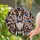 Patriotic Boston Terrier Brindle White Dog Stained Glass Mosaic - USA Dog Lover Gift Stained Glass Suncatcher - 2