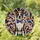 Patriotic Boston Terrier Brindle White Dog Stained Glass Mosaic - USA Dog Lover Gift Stained Glass Suncatcher - 1