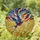 Highly Detailed Blue Red Barn Swallow Golden Wheat Tiffany Stained Glass Mosaic Art Stained Glass Suncatcher - 1