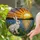 White Rabbit Sunset Stained Glass Mosaic - Tiffany Style Jewel Tone Marsh Landscape Art Stained Glass Suncatcher - 2