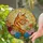Orange Tabby Cat Tiffany Stained Glass Flowers Sunburst Art - Jewel Tone Cat Lover Gift Stained Glass Suncatcher - 2