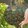 Tiffany Style Stained Glass Houseplants Window View - Jewel Tones Lush Garden Art Stained Glass Suncatcher - 2