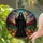 Spooky Witch Jack-O'-Lanterns Tiffany Style Stained Glass Art - Halloween Decor Gift For Her Stained Glass Suncatcher - 2