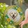 Stained Glass Labrador Retriever Dog with Lilies & Daisies Floral Frame Tiffany Mosaic Art Stained Glass Suncatcher - 2