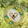 Stained Glass Labrador Retriever Dog with Lilies & Daisies Floral Frame Tiffany Mosaic Art Stained Glass Suncatcher - 1