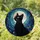 Black Cat Full Moon Cosmic Stained Glass Art - Jewel Tones Cat Lover Home Decor Gift Stained Glass Suncatcher - 1