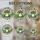 Frog Mushroom Tiffany Stained Glass Daisies - Jewel Tone Nature Window Art Stained Glass Suncatcher - 4
