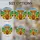 Highland Cow Calf Shaggy Fur Sunflowers Tiffany Stained Glass Pastoral Landscape Stained Glass Suncatcher - 4