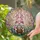 Easter Gnome Pink Hat Bunny Ears Stained Glass - Colorful Easter Eggs Spring Garden Decor Gift Stained Glass Suncatcher - 2