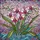 Stained Glass Orchid Flowers 'Mom' Translucent Mosaic - Jewel Tone Floral Mother's Day Gift Stained Glass Suncatcher - 5