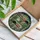 Nine Sleeping Cats Potted Houseplants Stained Glass Tiffany Art - Cat Plant Lover Gift Stained Glass Suncatcher - 3