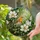 Vibrant Robin Bird Magnolia Flowers Tiffany Stained Glass Art - Lush Green Foliage Mosaic Stained Glass Suncatcher - 2