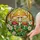 Stained Glass Toadstool Mushroom Forest Foliage Dappled Sunlight Tiffany Art Glowing Jewels Stained Glass Suncatcher - 2