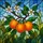 Tiffany Style Stained Glass Oranges Blossom Leaves Detailed Mosaic Art Stained Glass Suncatcher - 5