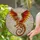 Majestic Winged Dragon Stained Glass Art Dynamic Flight - Tiffany Celestial Jewel Tones Stained Glass Suncatcher - 2