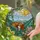 Tiffany Style Sleeping Dog Hammock Stained Glass - Beagle Basset Hound Sun & Flowers Stained Glass Suncatcher - 2