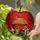 Red Apple Fairy House Stained Glass - Fantasy Mushroom Mosaic Tiffany Jewel Tones Stained Glass Suncatcher - 2