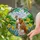 Cavalier King Charles Spaniel Dog Butterfly Daffodil Tiffany Stained Glass Art Gift Stained Glass Suncatcher - 2