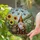 Jovial Garden Gnome Sunflowers Bumblebees Tiffany Glass Garden Mosaic Scene Art Stained Glass Suncatcher - 2