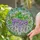 Wisteria Stained Glass Purple Lavender Flowers & Green Leaves - Tiffany Mosaic Jewel Tone Art Stained Glass Suncatcher - 2