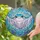 Cartoon Manta Ray Stained Glass Tiffany Underwater Seascape Intricate Colorful Jewel Tones Stained Glass Suncatcher - 2