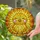 Chubby Baby Chick Stained Glass - Rosy Cheeks, Heart Tuft, Sunburst Tiffany Style Window Stained Glass Suncatcher - 2