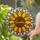 Intricate Tiffany Style Stained Glass Sunflower Grandma & Kids Names Personalized Gift Stained Glass Suncatcher - 2