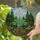 Rooted Sapling Tree Pine Forest Snow Mountain Range Stained Glass - Nature Decor Stained Glass Suncatcher - 2