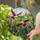 Vibrant Tiffany Glass Birds in Flight - Wildflower Field Rolling Hills Jewel Tone Art Stained Glass Suncatcher - 2