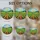 Tiffany Stained Glass Vineyard Grapevines Rolling Hills - Wildflower & Hillside Home Stained Glass Suncatcher - 4