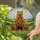 Grizzly Bear Family Stained Glass Landscape - Wildlife Nature Art for Home Decor Stained Glass Suncatcher - 2