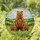 Grizzly Bear Family Stained Glass Landscape - Wildlife Nature Art for Home Decor Stained Glass Suncatcher - 1
