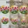 Tiffany Style Stained Glass Spring Meadow Tulips Poppies Grape Hyacinths Daisy Full Sun Stained Glass Suncatcher - 4